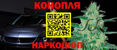 СК Коммунар